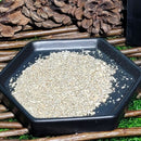 Herbe - Poudre de sauge blanche - 1 oz