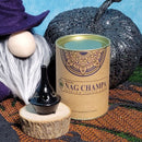 Goloka Backflow Cones - Nag Champa (Box of 24)