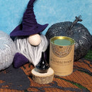 Cônes anti-retour Goloka - Bois de santal (Boîte de 24)