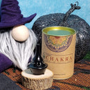 Goloka Backflow Cones - Chakras (Box of 24)