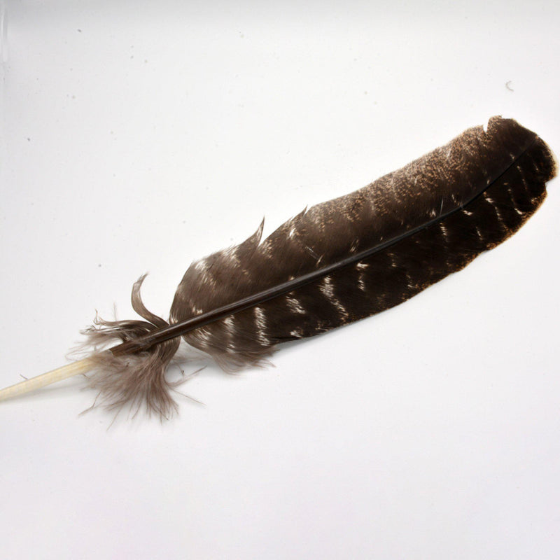 Smoke Cleansing Feather - Turkey Approx. 8" to 14"-Scents/Oils/Herbs-Kheops-The Bat Witch Cavern