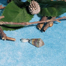 Diamond Shape Rainbow Fluorite Pendant (0.5" to 1.25")