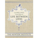 Book - Llewellyn's Little Book of Life Between Lives (Hard Cover)-Tarot/Oracle-Dempsey-The Bat Witch Cavern