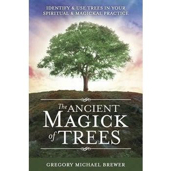 Ancient Magick of Trees - Identify & Use Trees in Your Spiritual & Magickal Practice-Tarot/Oracle-Dempsey-The Bat Witch Cavern