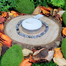 Bracelet - 3 to 4mm Beads - Iolite