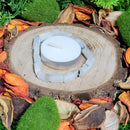 Bracelet - Pierre roulée - Pierre de Lune Arc-en-ciel