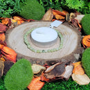 Bracelet - 4mm Beads - Chinese Jade