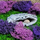 Small Agate Geode Specimens (All Variations)