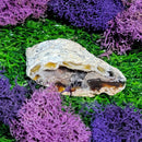 Small Agate Geode Specimens (All Variations)