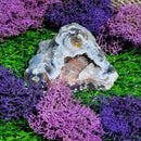 Small Agate Geode Specimens (All Variations)