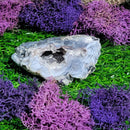 Small Agate Geode Specimens (All Variations)