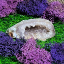 Small Agate Geode Specimens (All Variations)