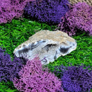 Small Agate Geode Specimens (All Variations)