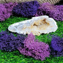 Small Agate Geode Specimens (All Variations)