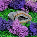 Small Agate Geode Specimens (All Variations)