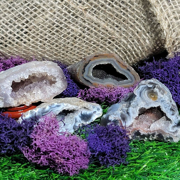 Small Agate Geode Specimens (All Variations)