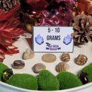 Aragonite Tumbled Stone