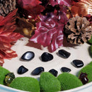 Apache Tears Tumbled Stone