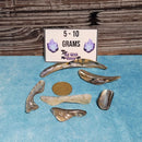 Abalone Shell Rim Tumbled Stone