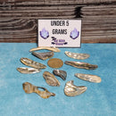 Abalone Shell Rim Tumbled Stone