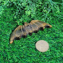 Chauve-souris sculptée en œil de tigre