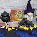 Béni par la Déesse Deck