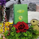 Book - Beltane - Rituals, Recipes and Lore for May Day