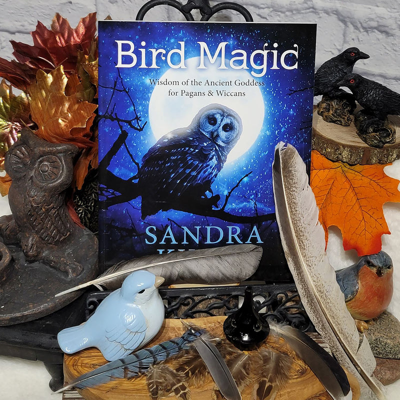 Livre - Magie des oiseaux - Sagesse de l'ancienne déesse pour les païens et les wiccans