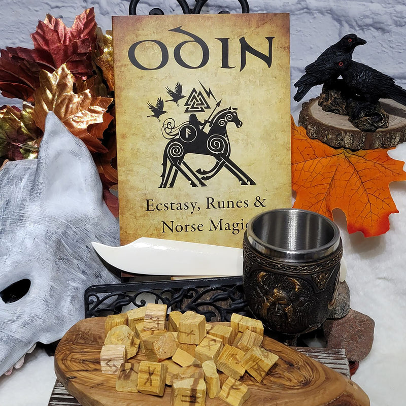 Book - Odin - Ecstasy, Runes, and Norse Practical Magic