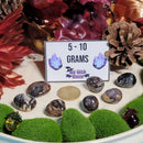 Bamboo Leaf Agate Tumbled Stone