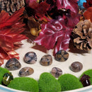 Pierre roulée chiastolite