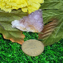 Spirit Quartz Mini Clusters