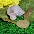 Spirit Quartz Mini Clusters