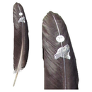 Smoke Cleansing Feather - Turkey Wolf and Moon Approx. 11" to 14"-Scents/Oils/Herbs-Nature's Expression-The Bat Witch Cavern