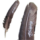 Smoke Cleansing Feather - Turkey Blessings Approx. 9" to 12"-Scents/Oils/Herbs-Nature's Expression-The Bat Witch Cavern