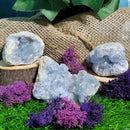 Celestite Clusters - Variants of Each