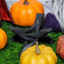 Black Wood Cobra Stand 4"