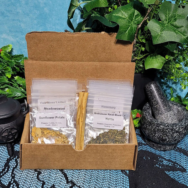 Kit d’échantillonnage d’herbes séchées pour les sorts - 20 sacs d’échantillons et un bâton Palo Santo