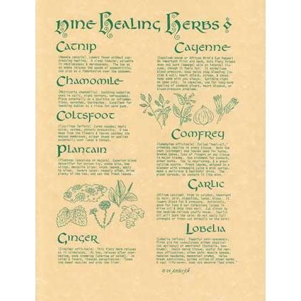 Wicca/Witchcraft - 9 Healing Herbs Poster-Tarot/Oracle-Azure Green-The Bat Witch Cavern