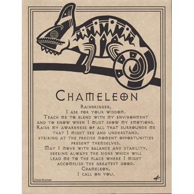 Animal Prayers - Chameleon-Tarot/Oracle-Azure Green-The Bat Witch Cavern
