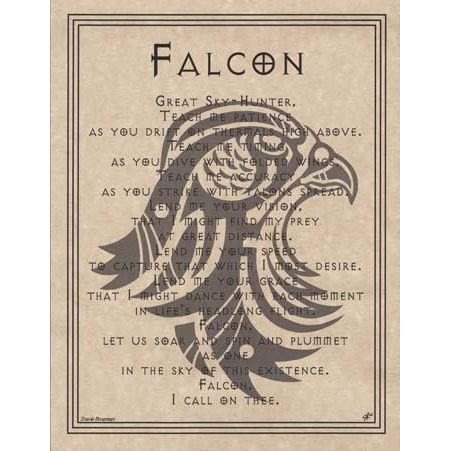 Animal Prayers - Falcon-Tarot/Oracle-Azure Green-The Bat Witch Cavern