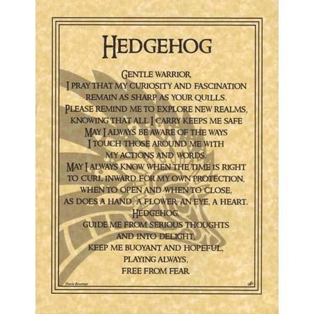 Animal Prayers - Hedgehog-Tarot/Oracle-Azure Green-The Bat Witch Cavern