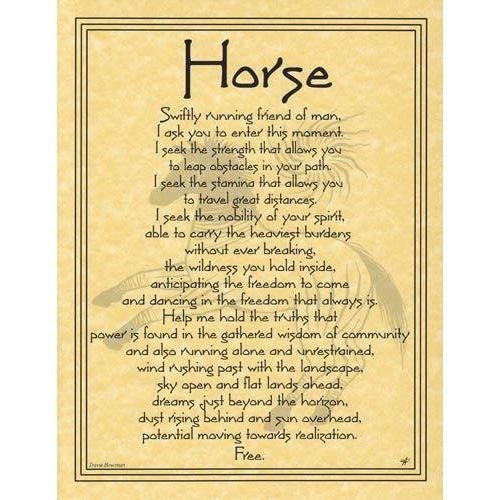 Animal Prayers - Horse-Tarot/Oracle-Azure Green-The Bat Witch Cavern