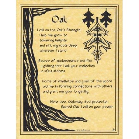 Wicca/Witchcraft - Oak Prayer-Tarot/Oracle-Azure Green-The Bat Witch Cavern