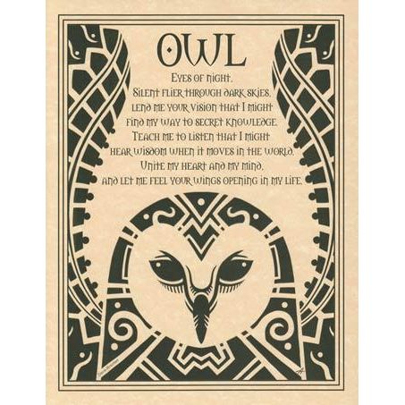 Animal Prayers - Owl-Tarot/Oracle-Azure Green-The Bat Witch Cavern