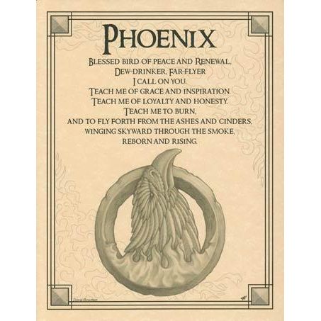 Animal Prayers - Phoenix-Tarot/Oracle-Azure Green-The Bat Witch Cavern