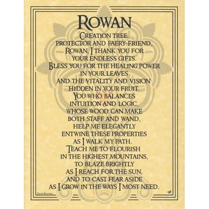 Deity Prayers - Rowan-Tarot/Oracle-Azure Green-The Bat Witch Cavern