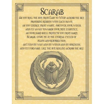 Animal Prayers - Scarab-Tarot/Oracle-Azure Green-The Bat Witch Cavern
