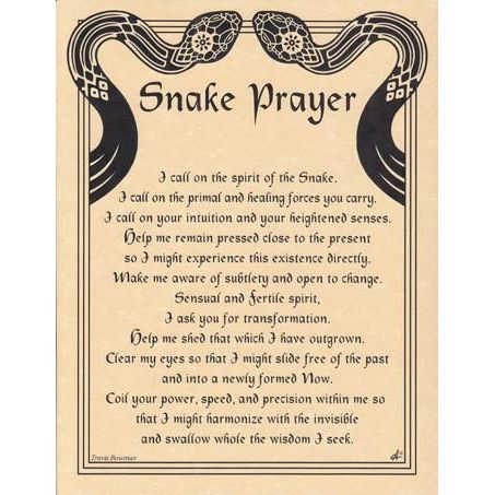 Animal Prayers - Snake-Tarot/Oracle-Azure Green-The Bat Witch Cavern