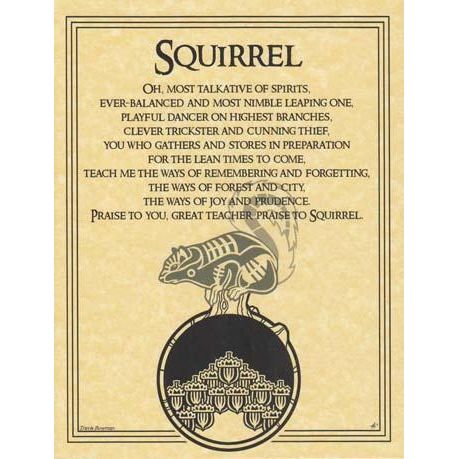 Animal Prayers - Squirrel-Tarot/Oracle-Azure Green-The Bat Witch Cavern